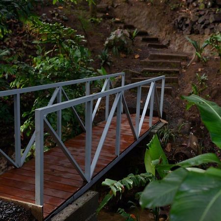Volcano Gold Loft La Fortuna Екстериор снимка