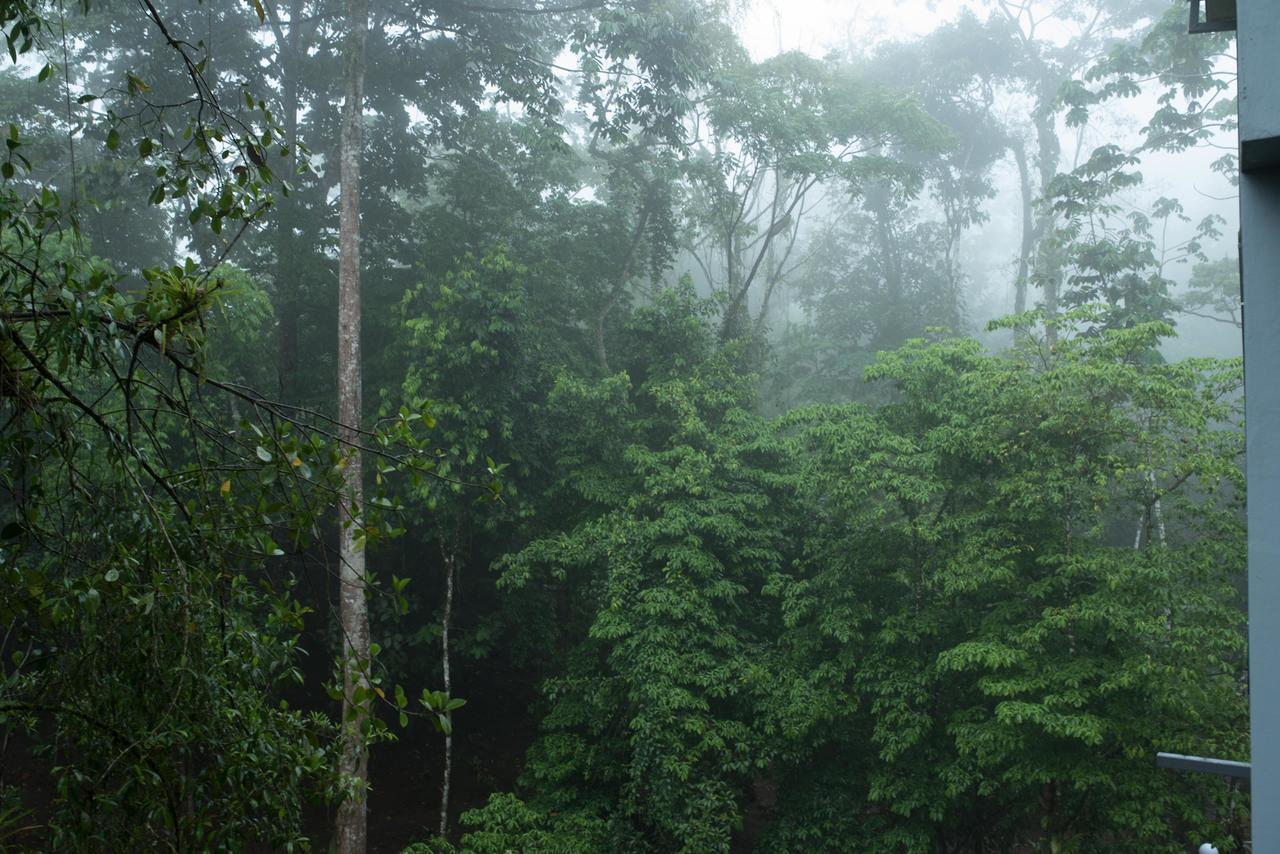 Volcano Gold Loft La Fortuna Екстериор снимка