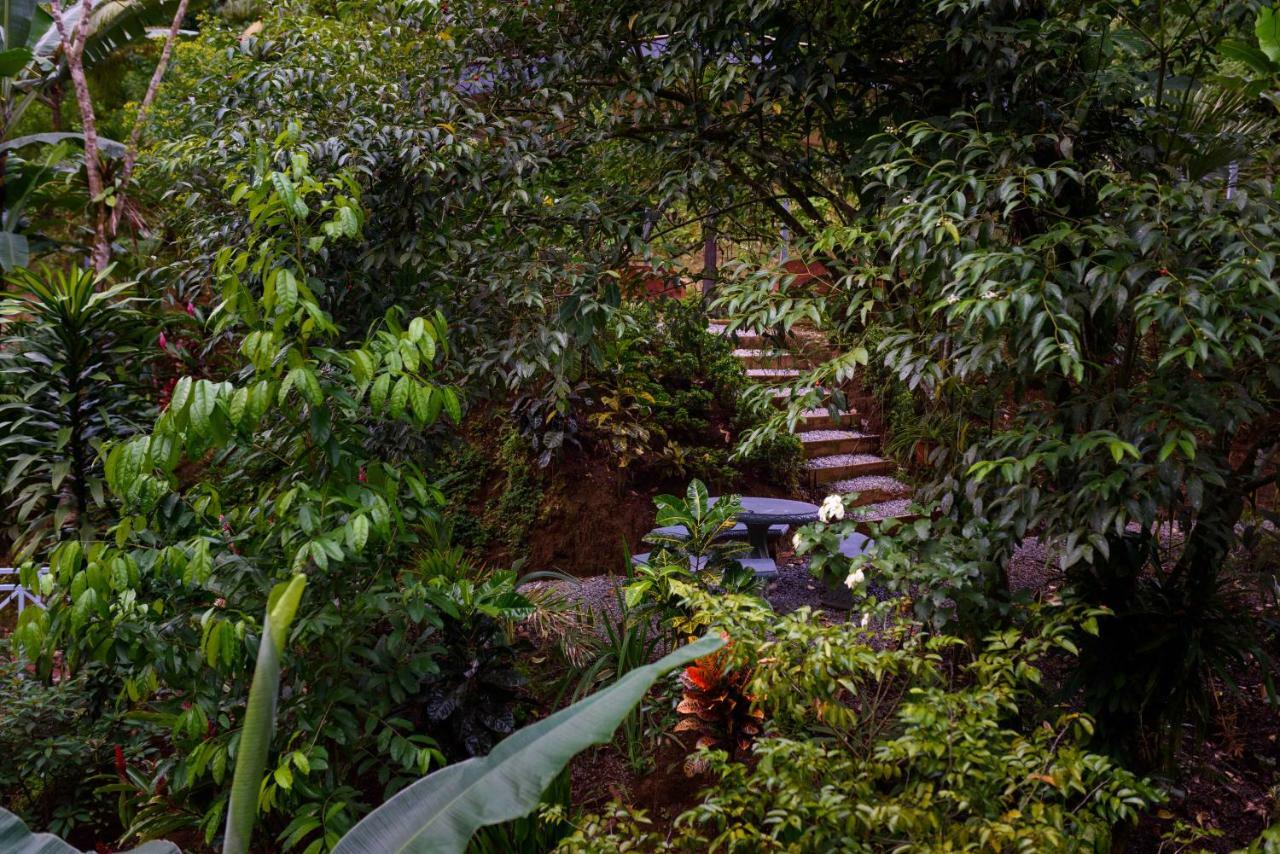 Volcano Gold Loft La Fortuna Екстериор снимка