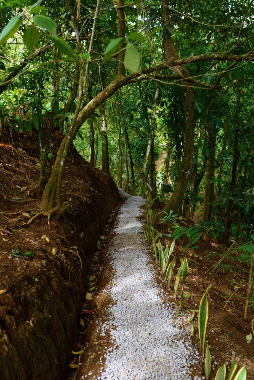 Volcano Gold Loft La Fortuna Екстериор снимка