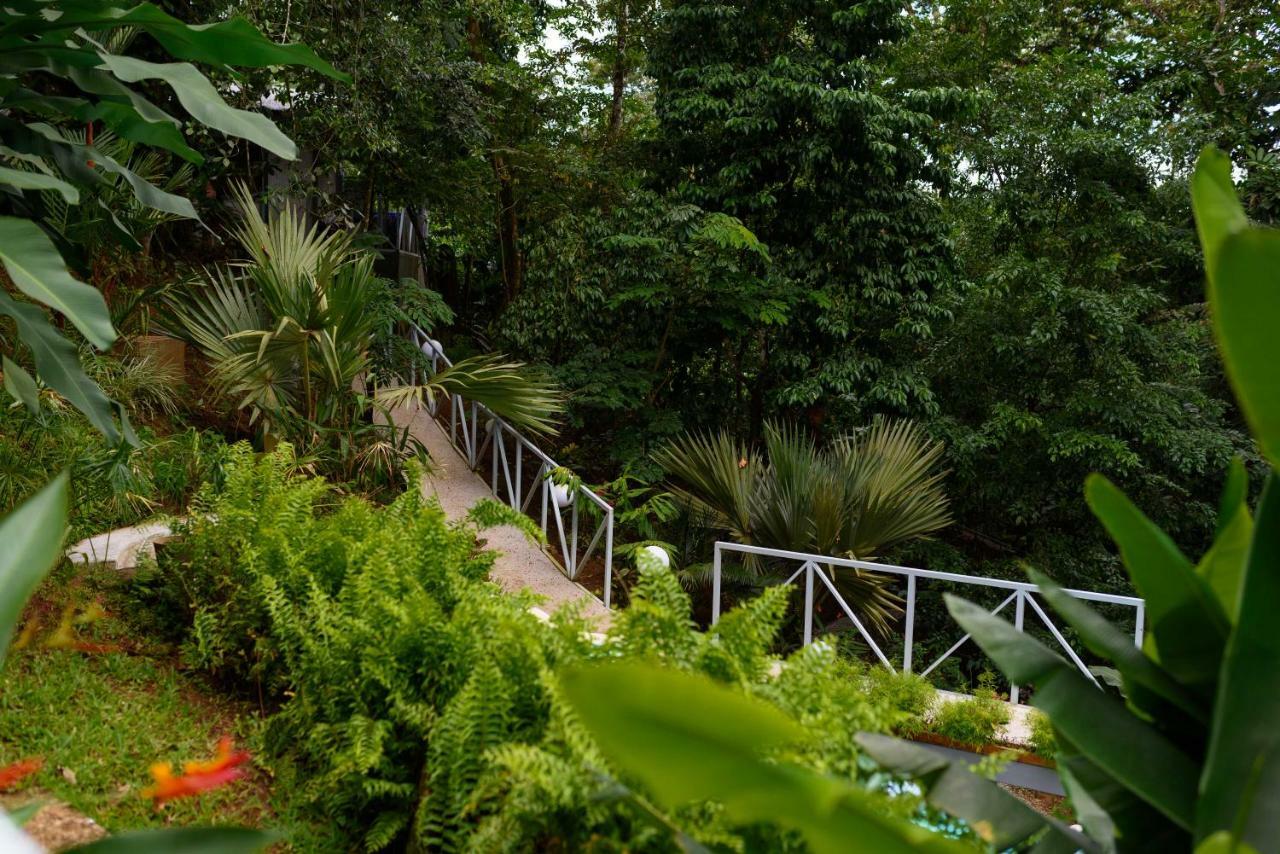 Volcano Gold Loft La Fortuna Екстериор снимка