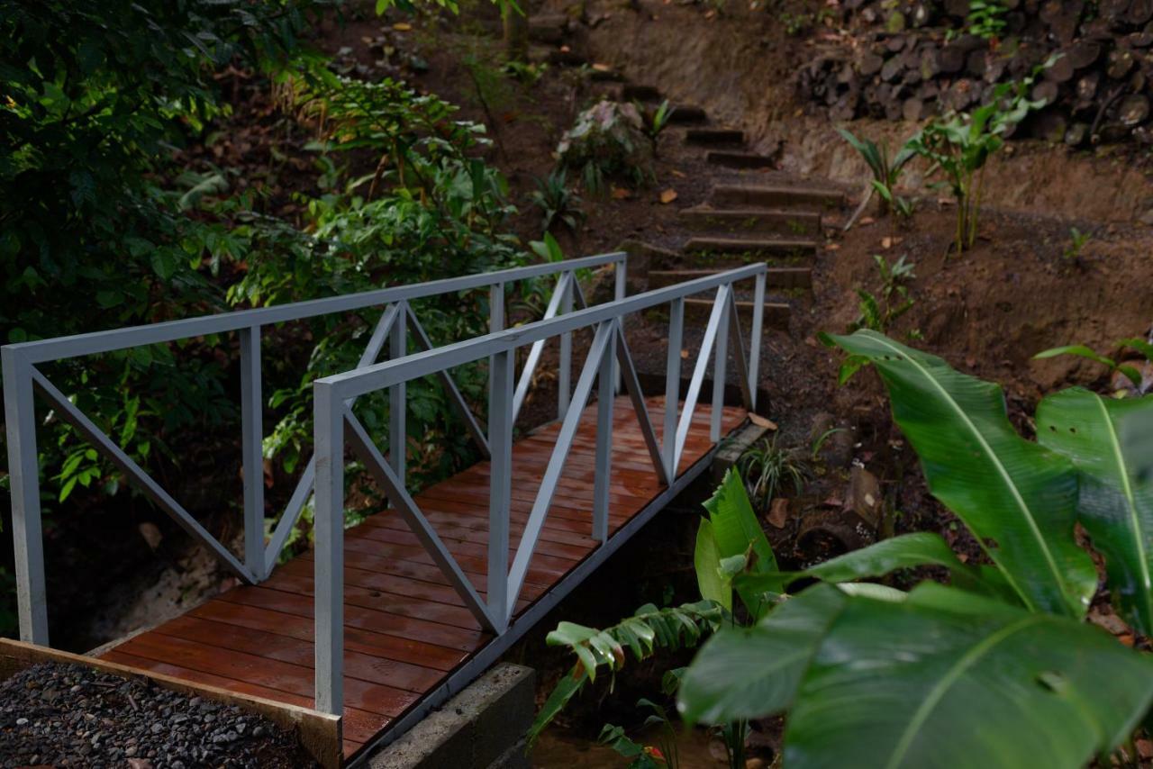 Volcano Gold Loft La Fortuna Екстериор снимка