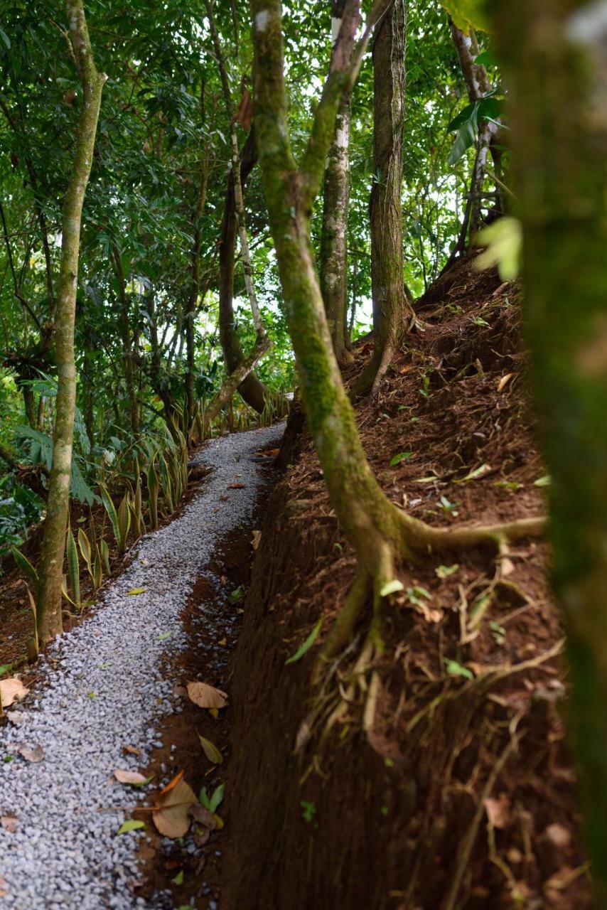 Volcano Gold Loft La Fortuna Екстериор снимка