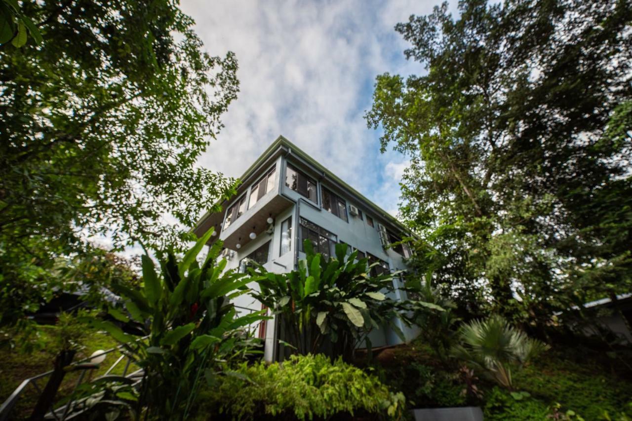 Volcano Gold Loft La Fortuna Екстериор снимка