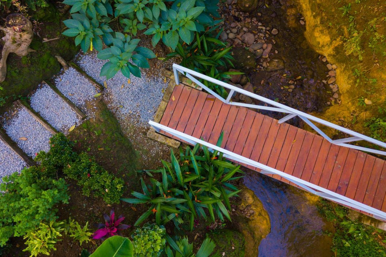 Volcano Gold Loft La Fortuna Екстериор снимка