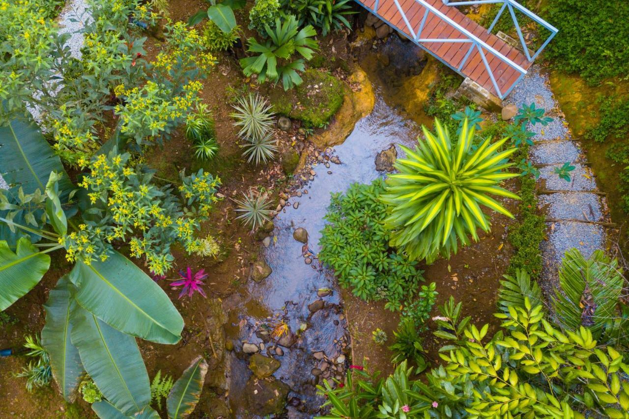 Volcano Gold Loft La Fortuna Екстериор снимка